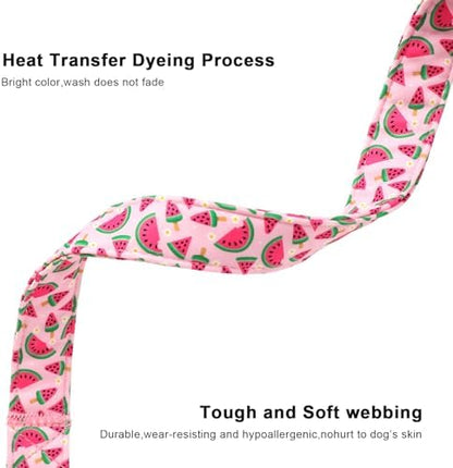 Lionet Paws Pink Watermelon Dog Collar Sweet Spring Summer Collars with Cute Watermelons Pattern Pendant - Female Girl Dog Collar for Small Medium Large Dogs S