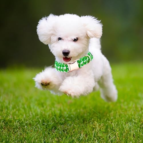 Summer Dog Collar, Animal Print Durable Metal Collar Cute Green Boy Dog Collars Adjustable Pet Collar for Small Medium Large Dogs