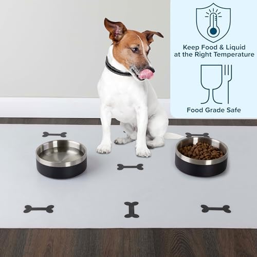 Set of 2 Stainless Steel Dog Bowls - 32oz/4 Cups Double Wall Insulated Food and Water Bowls for Dogs and Cats, Non Slip Metal Pet Dishes for Small-Medium Pets, Puppy Essentials by PETMAKER (Black)