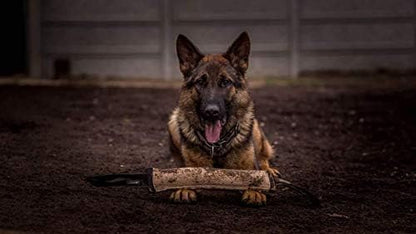 Dingo Gear Bite Tug with 1 Handle Reinforced for Dog Training and Fun 60 x 8 cm, Jute