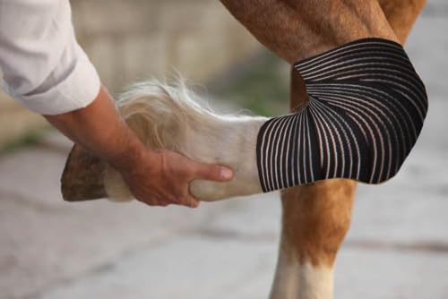 Elastic Compression Bandage Wrap for Horses, Adjustable Equine Leg Support, Breathable Stretch Wrap for Tendon, Ankle, Hock, Swelling