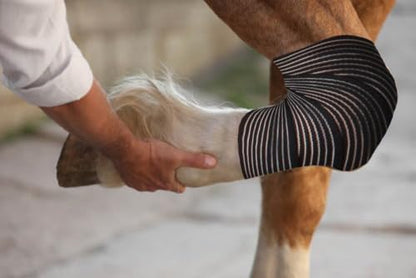 Elastic Compression Bandage Wrap for Horses, Adjustable Equine Leg Support, Breathable Stretch Wrap for Tendon, Ankle, Hock, Swelling