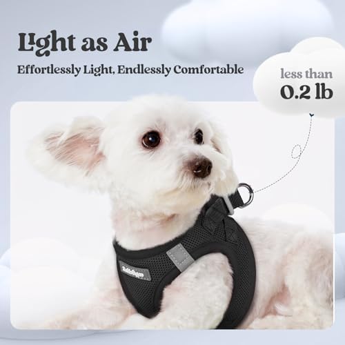 rabbitgoo Dog Harness Small Sized and Leash Set, Step-in Puppy Pet Vest