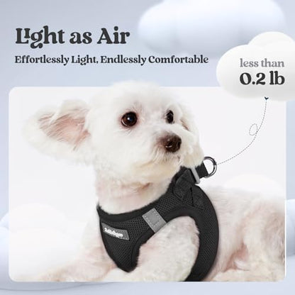 rabbitgoo Dog Harness Small Sized and Leash Set, Step-in Puppy Pet Vest