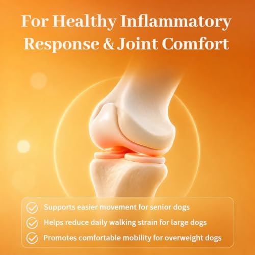 Turmeric Curcumin for Senior Dogs & Cats, Canine Joint & Mobility Support