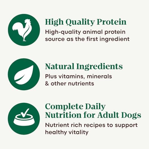 Nutro Hearty Stew Wet Dog Food, Tender Chicken, 12.5 oz, 12 Pack
