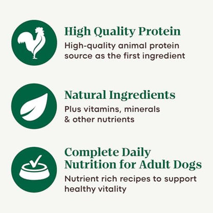 Nutro Hearty Stew Wet Dog Food, Tender Chicken, 12.5 oz, 12 Pack