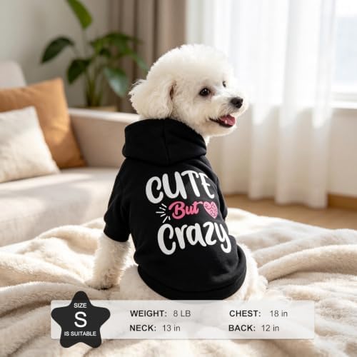 EXPAWLORER Dog Hoodies for Small Medium Large Dogs,Cute But Crazy Black M