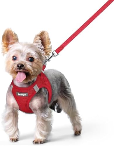 rabbitgoo Dog Harness Small Sized and Leash Set, Step-in Puppy Pet Vest
