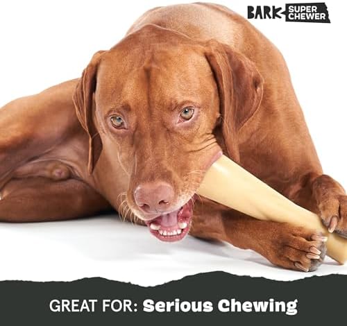 BarkBox Bacon Bone Super Chewer - Toy for Large Dogs