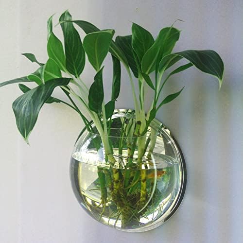 YUHOME Home Decoration Wall Mount Fish Tanks Goldfish Bowl Acrylic Hanging Aquariums Flowerpot Flower Vase, 150mm diameter & type 1