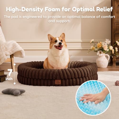 ChiXnuggle Orthopedic Dog Bed, Washable Cover, Faux Fur Bolster Pet Couch