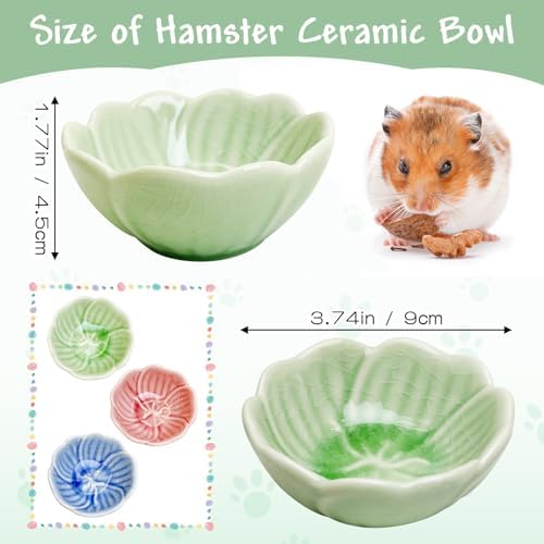 BNOSDM 2 Pcs Hamster Ceramic Food Bowl Flower Series Gerbil Drinking Bowls Anti-Turning Food & Water Dish for Dwarf Syrian Hamsters Gerbil Chinchilla（Green, Narcissus Pattern）