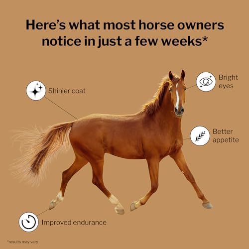 Formula 707 Daily Essentials Ration Balancer Supplement for Horses, 6 lb Bag – 48 Servings – Concentrated Complete Vitamin & Mineral Pellet