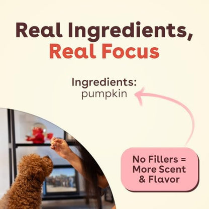 Pupford Freeze Dried Training Treats for Dogs & Puppies (Pumpkin, 2 oz)