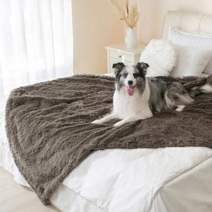 gogobunny Waterproof Dog Blanket for Couch & Furniture Protection - Super Soft Reversible Throw for Large Dogs & Cats, Calming Washable Fur & Sherpa Pet Blanket (33x77 Inch, Stone)