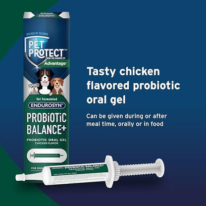 Pet Protect Dog Probiotic Balance+ Oral Gel, Chicken Flavor, 32g