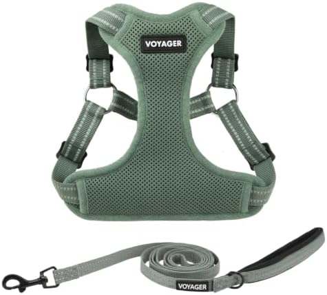 Best Pet Supplies Voyager Adjustable Step-in Flex Breathable Mesh Dog Harness for Small Medium Large Dogs Leash Set (Moss Green), M
