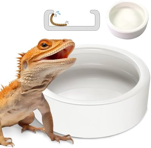 Reptile Food Bowl Lizard Gecko Ceramic Pet Worm Dish Water Bowls XL(5in)