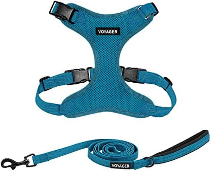 Best Pet Supplies Voyager Step-in Lock Pet Harness w Reflective Pet Leash Combo Set with Neoprene Handle 5ft - Supports Small, Medium and Large Breed Puppies/Cats - Turquoise Set, L