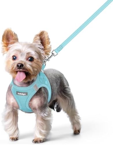 rabbitgoo Dog Harness Small Sized and Leash Set, Step-in Puppy Pet Vest