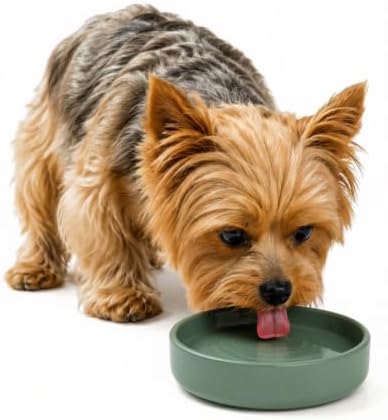 The Perfect Dish - Silicone Dog Bowl for Food & Water, 6" x 1.25"-Spruce