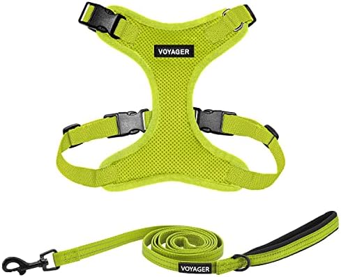 Best Pet Supplies Voyager Step-in Lock Pet Harness w Reflective Pet Leash Combo Set with Neoprene Handle 5ft - Supports Small, Medium and Large Breed Puppies/Cats - Lime Green, S