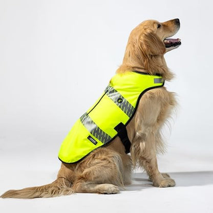 Reflective Dog Safety Vest, Harness and Collar Compatible, Waste Bag Holder, Water Resistant, Adjustable Neck and Chest, Day or Night Walking, High-Visibility Protection (Lime, XS)