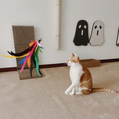 miwoowim 6PCS Cat Wand Toy Refills: 2 Extra-Large & 4 Standard Feathers