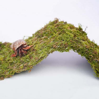 Hermit Crab Climbing Toys, 13.5 inch Bendable Climbing Bridge, Ideal Hermit Crab Supplies for 10 Gallon Hermit Crab Tank