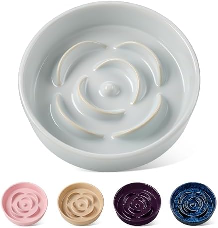 vancasso Slow Feeder Dog Bowls, 0.6 Cup Ceramic Puzzle Dish for Small Breed