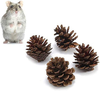 ANDES Rabbit Chew Toys, Pet Bunny Tooth Chew Toys Organic Natural Apple Wood Grass Cake Ideal for Bunny, Chinchilla, Guinea Pigs, Hamsters Teeth Grinding, Bird Exercise Molar (13PCS)