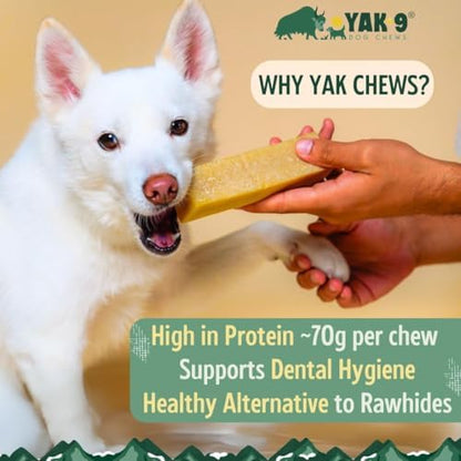 Yak Cheese Dog Chews with Turmeric for Hip & Joint Support | High Protein, Non Rawhide Dog Chews Long Lasting | Non GMO, Gluten Free, Grain Free | Medium (Breeds 15-30 lbs), 2 PC