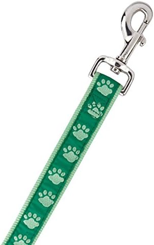 Casual Canine TwoTone Pawprint Dog Lead, 4-Foot x 5/8-Inch, Green