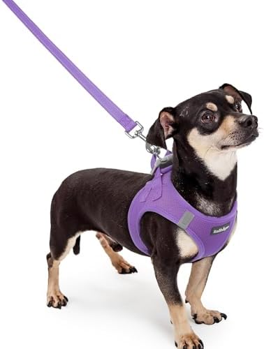 rabbitgoo Dog Harness Small Sized and Leash Set, Step-in Puppy Pet Vest