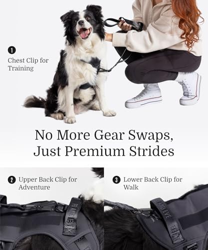 Fei & Eve Classic Dog Harness