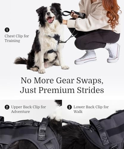 Fei & Eve Classic Dog Harness