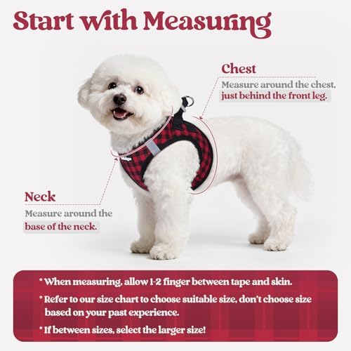 rabbitgoo Dog Harness Medium Sized and Leash Set, Step-in Puppy Pet Vest