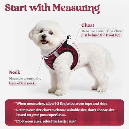 rabbitgoo Dog Harness Medium Sized and Leash Set, Step-in Puppy Pet Vest