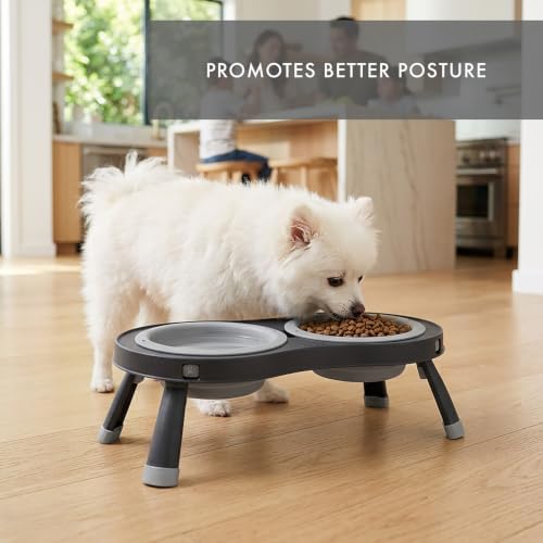 Dexas Pets Elevated Double Pet Feeder, Small, 1 Cup Capacity Bowls, Light Gray, Raised Pet Food and Water Bowls