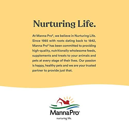 Manna Pro Hen Healer Multi-Purpose Ointment Helps Support Healing 2 Ounces