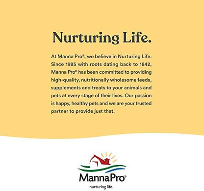Manna Pro Hen Healer Multi-Purpose Ointment Helps Support Healing 2 Ounces