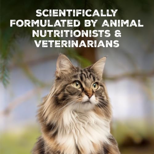Blue Buffalo Wilderness Tasty Chicken Crunchy Cat Treats, Grain-Free, 12 oz