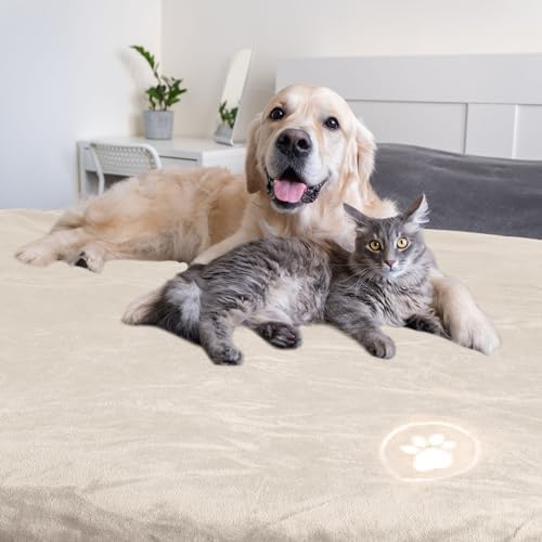 PETMAKER Dog Blanket, Cream, 60” x 70”