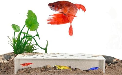 CTWPets Slim Shrimp Breeding Cave & Hide, Aquarium Tunnel, White