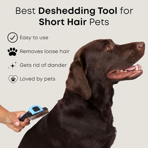 Short Hair Deshedding Brush for Dogs & Cats - Grooming Comb