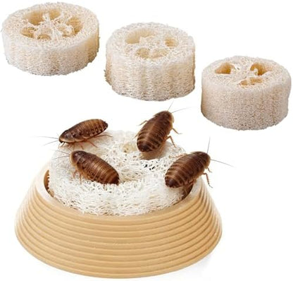Dubia Roach Water Dish with 3 Luffa Inserts – Feeder Bowl for Dubia Roaches Live, Isopods, Springtails, Crickets & Other Feeder Insects – Reptile Supplies for Terrariums and Enclosures