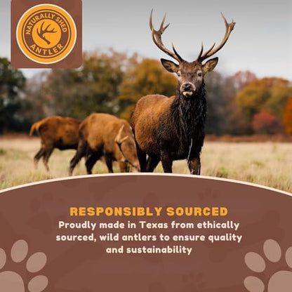 Whitetail Naturals 3 Pack Whole Deer Antler Chews for Small Dogs - 4-6"