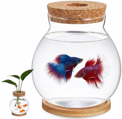 Balacoo Desktop Hydroponic Fish Bowl - Clear Glass Small Fish Tank