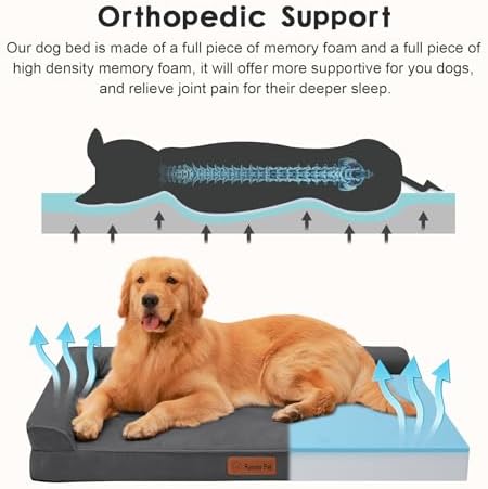 Rainmr Microsuede Dog Bed for Small & Medium Dogs - Orthopedic Dog Bed with Removable Washable Cover, Memory Foam Pet Bed Mat, 44x32 Inches, Dark Grey